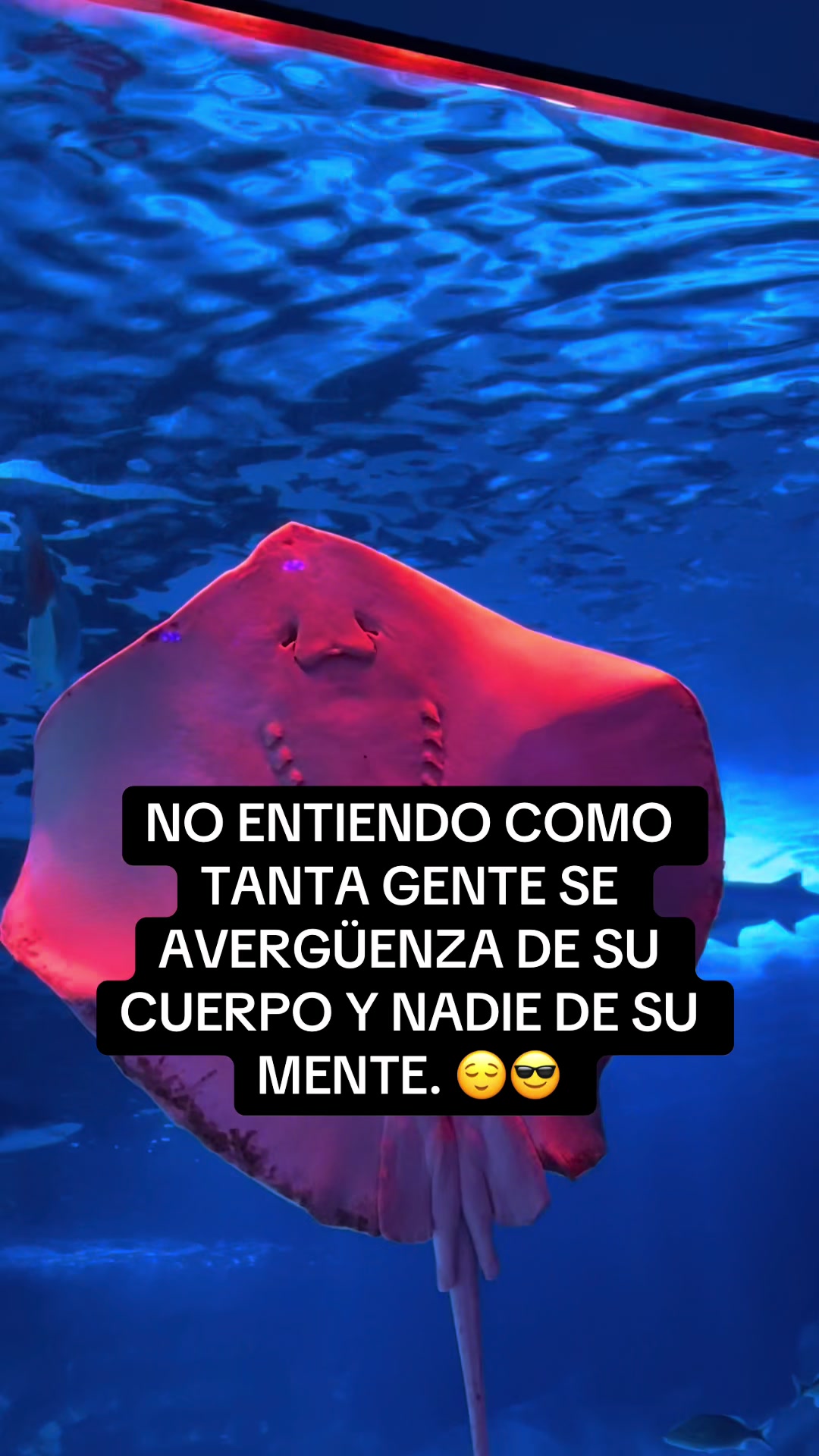 @Cinthya Sambrano