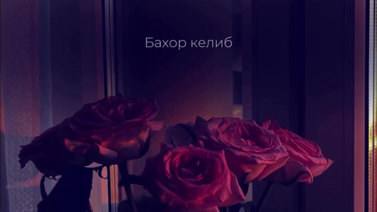 @music_videos222