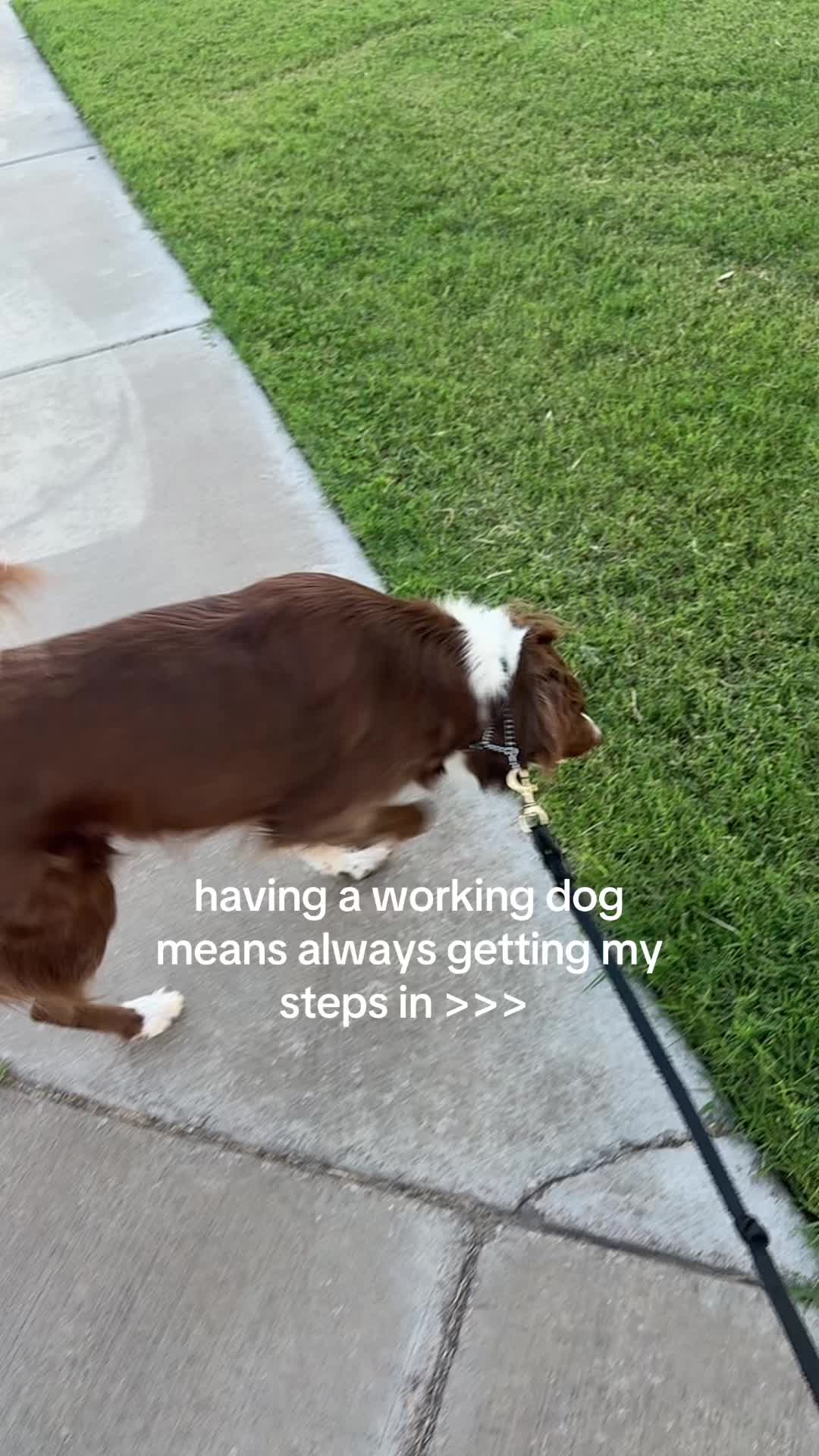 @Bri