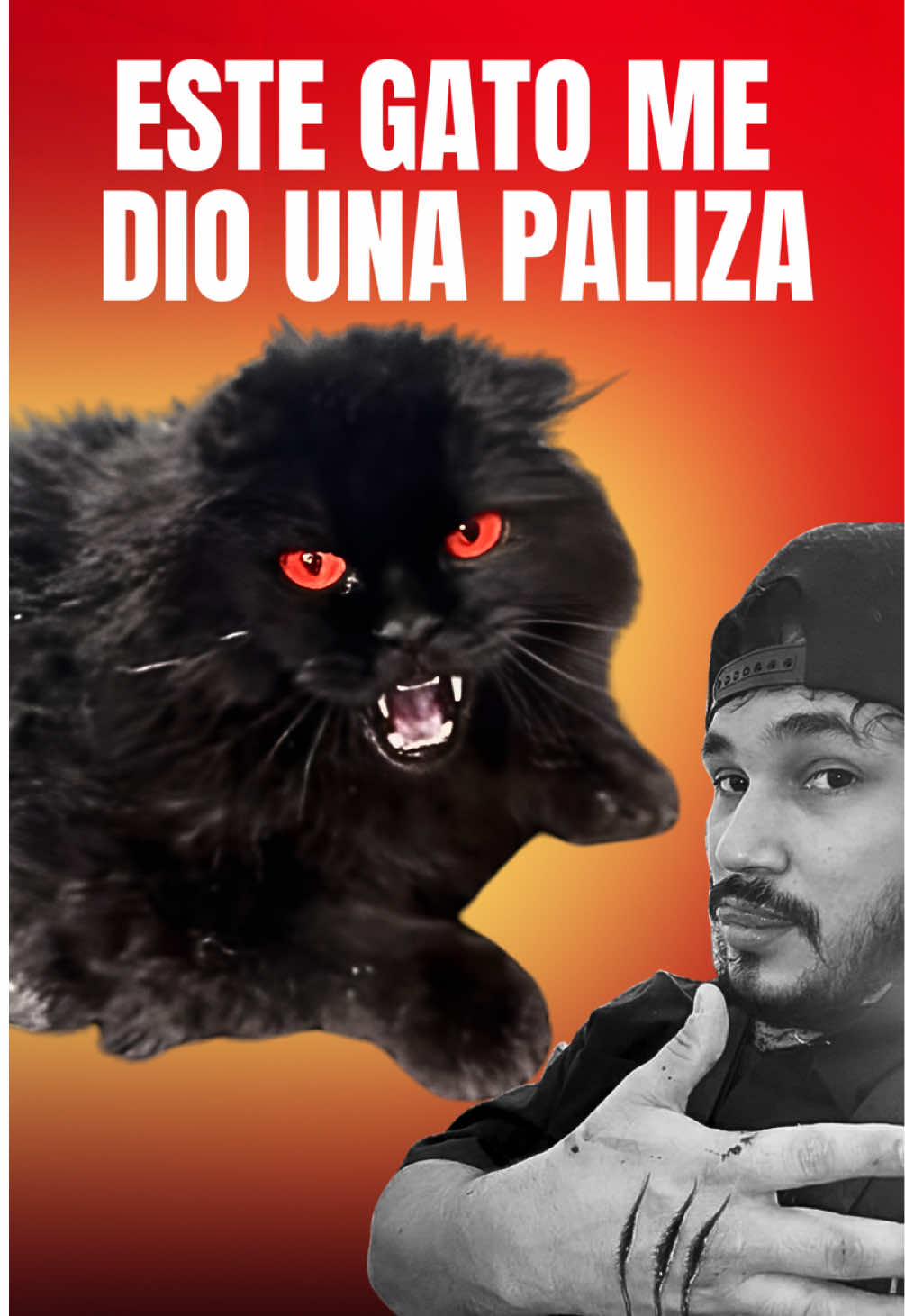 @VICTOR THE GROOMER