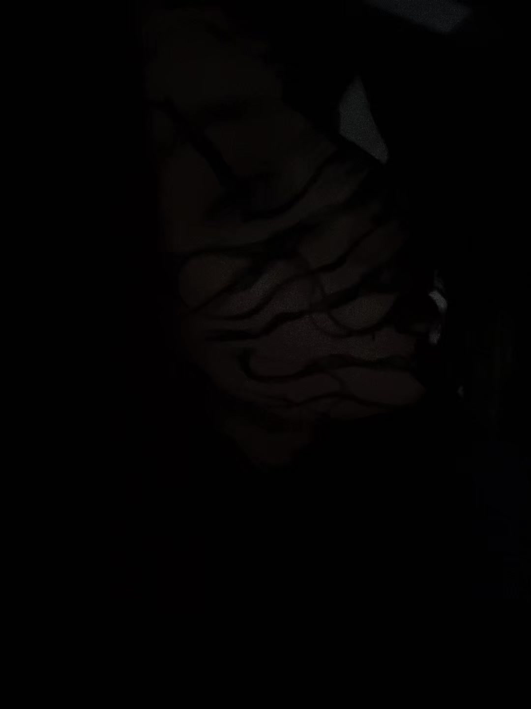 @🦊