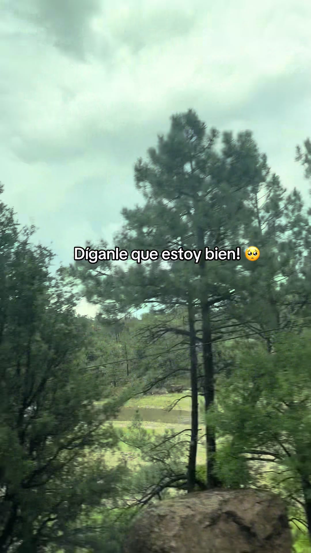 @Robb Saviñón