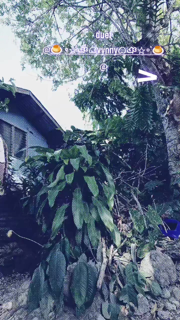 @h- Laura🧠🫁🫀👁🦷♡🩸🎀🪚🪓🔪