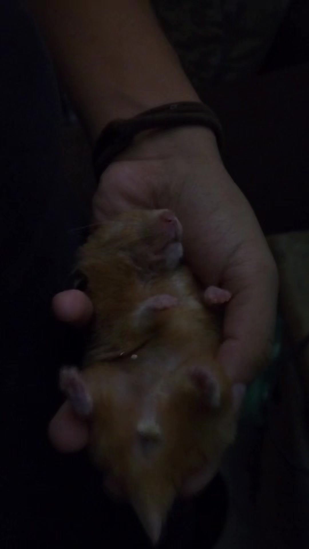@โซทโ
โ
๐๐๐๐๐๐โ
โ
โซธ