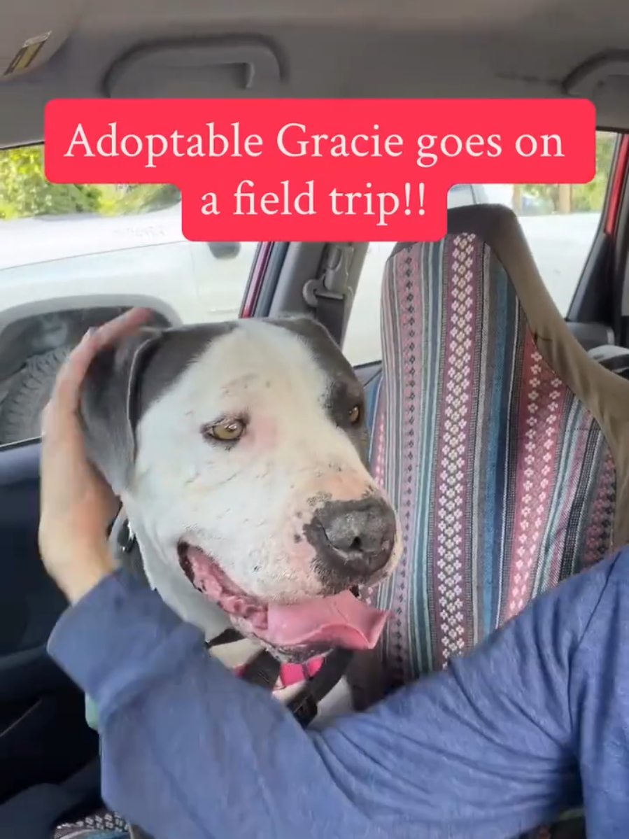 @Oakland Animal Services