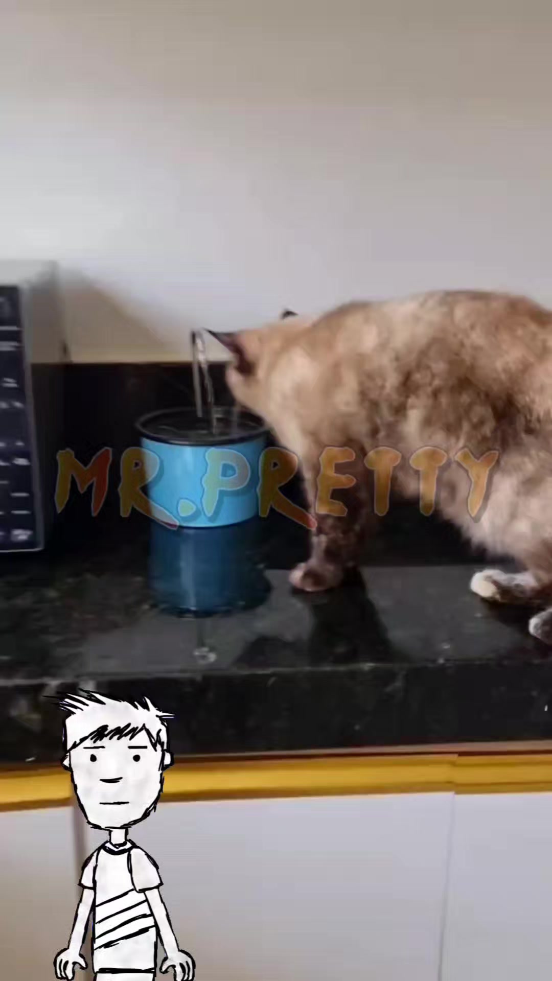 @🐈