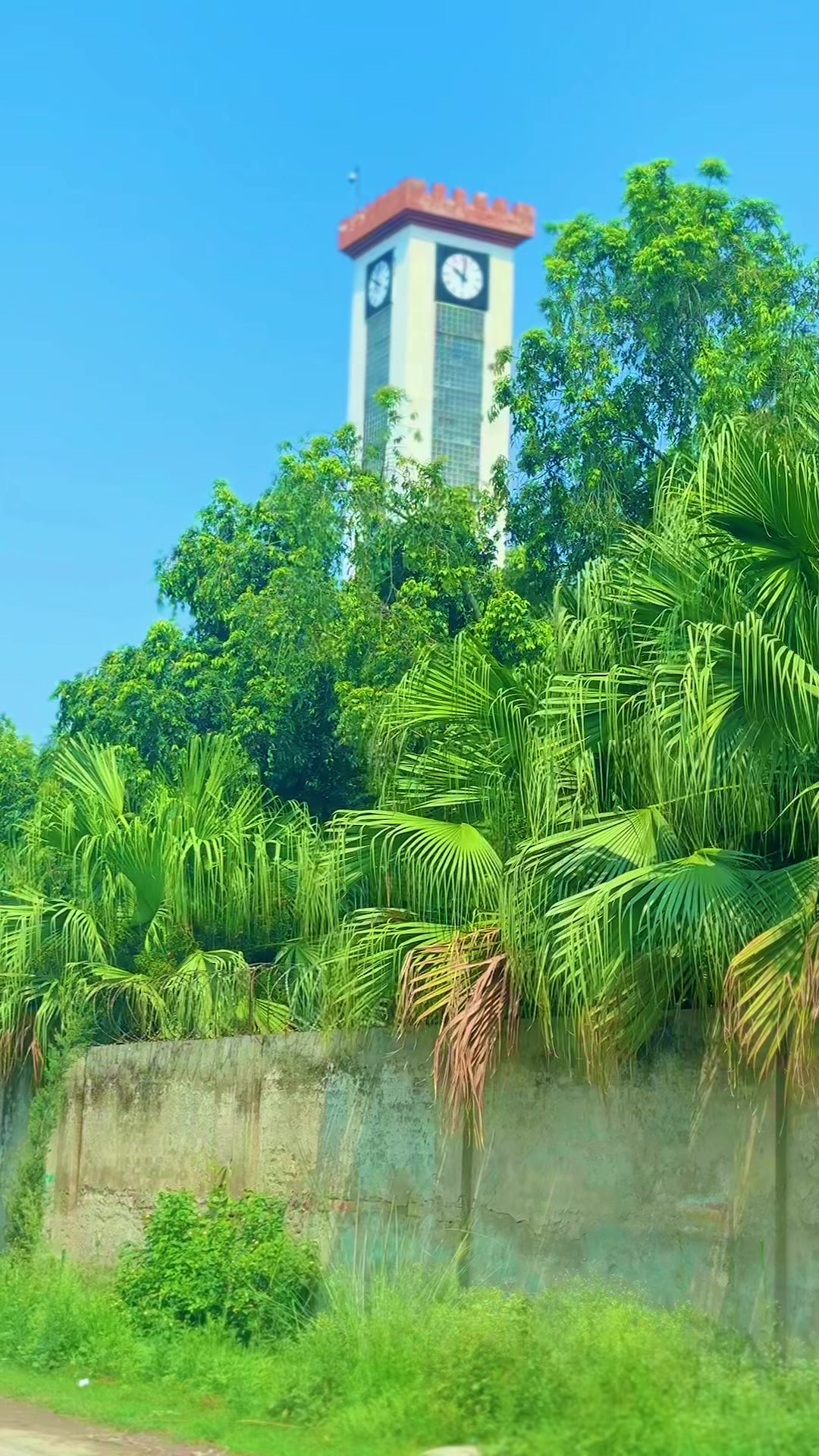 @TARBELA __🌏🌸
