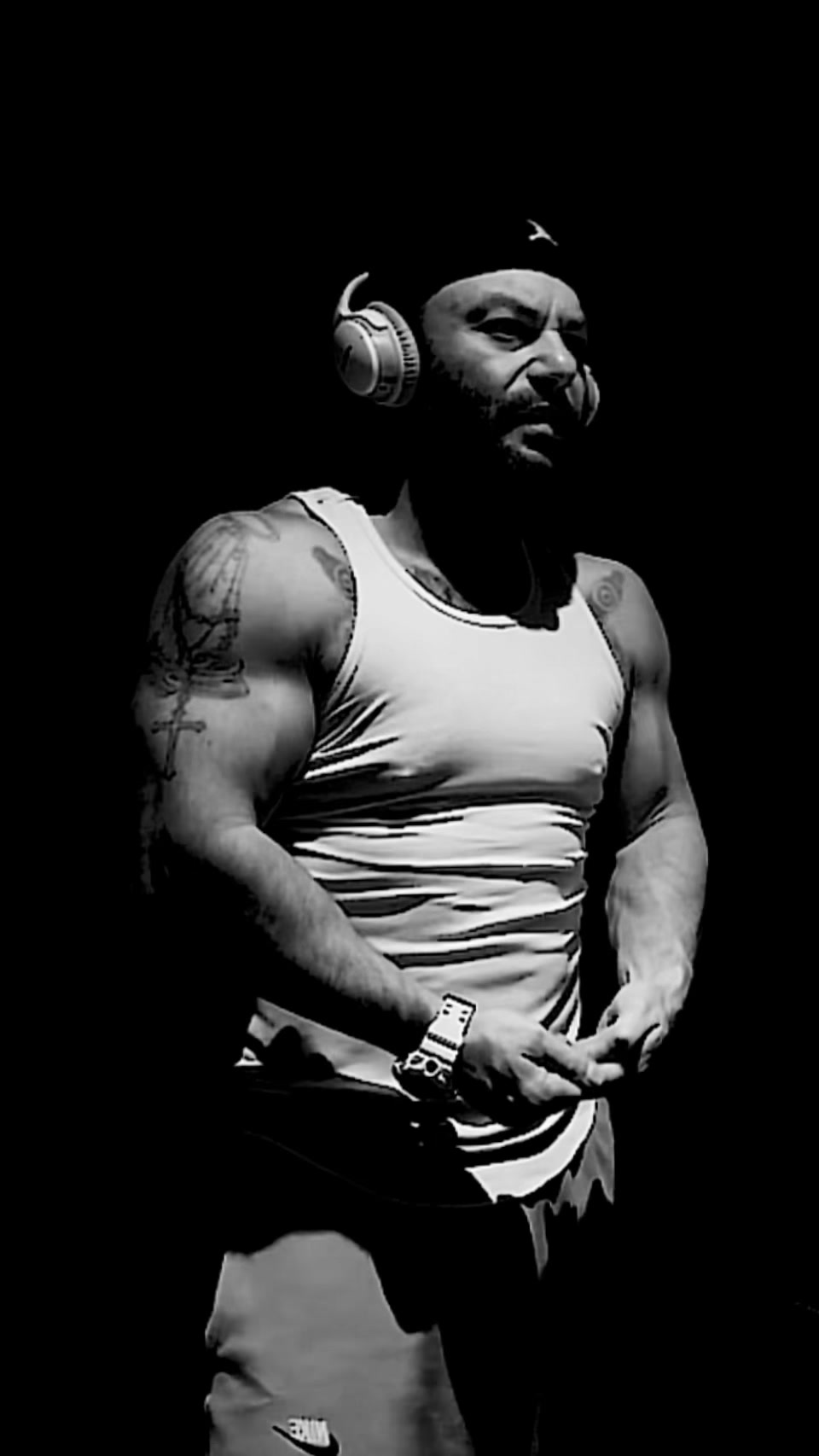 @Jungle ©️ 🇮🇹-🇹🇷-🇦🇺