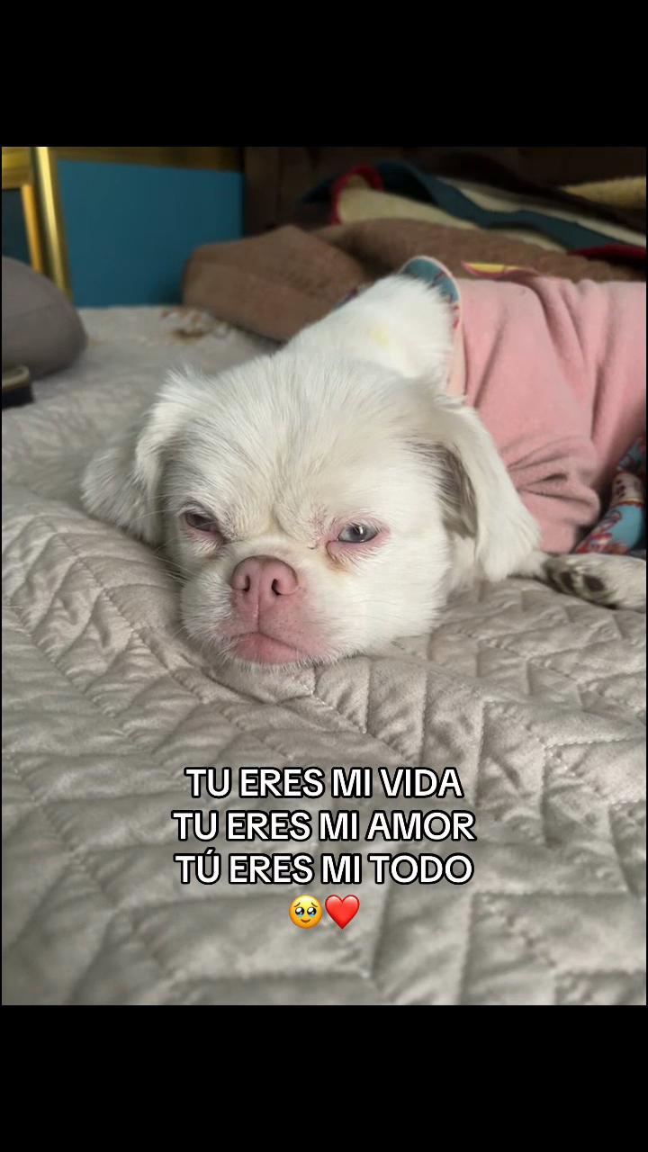 @sirley✨