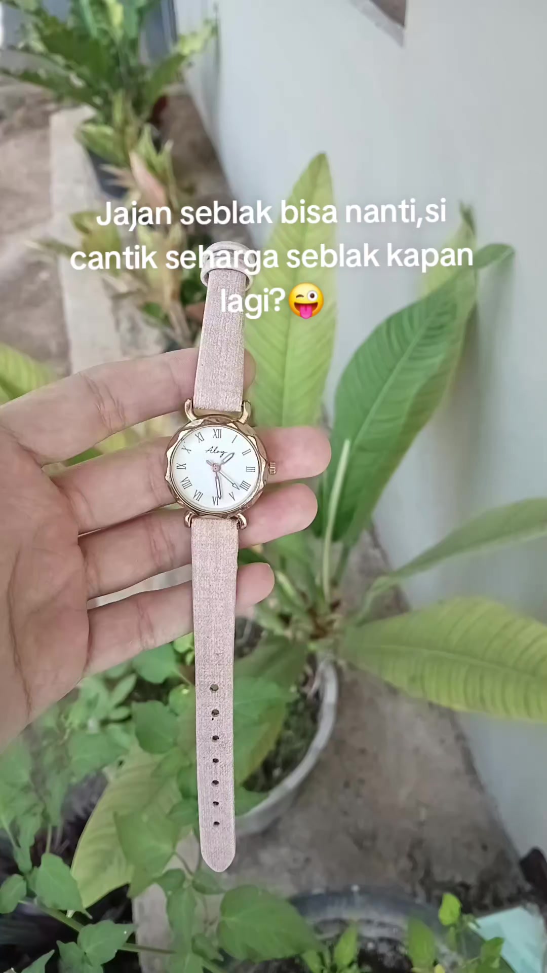 @S-tetik 🛒