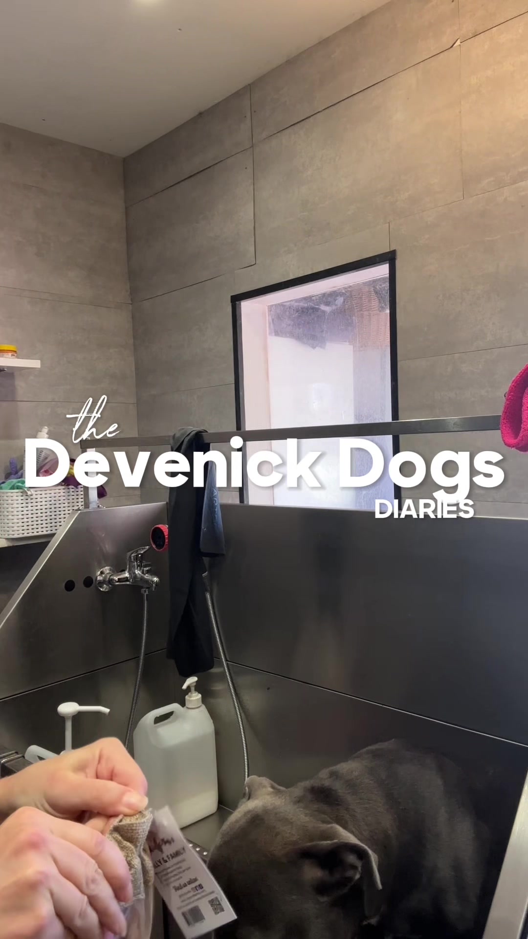 @DevenickDogs