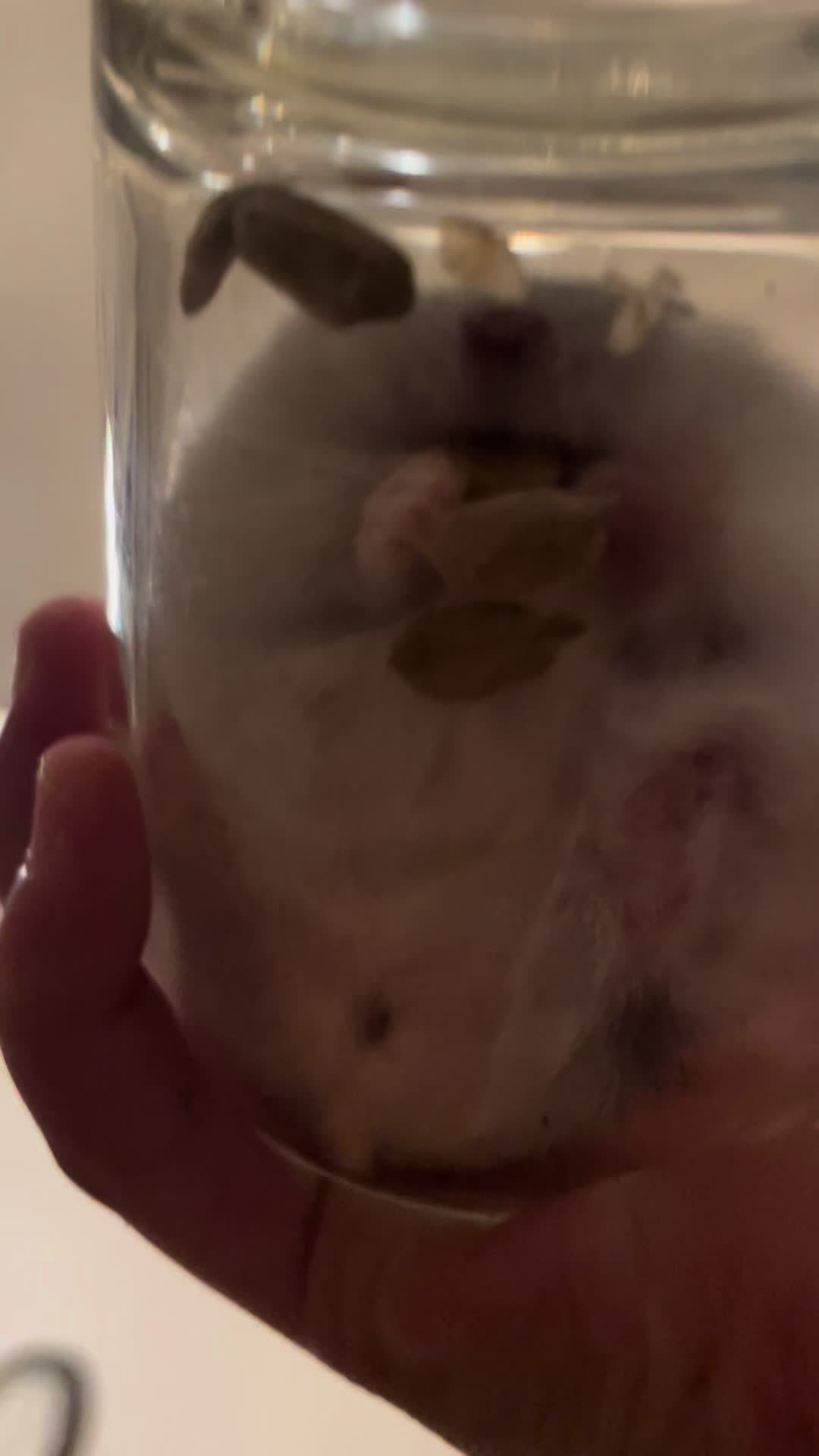 @MoChi&CoCo