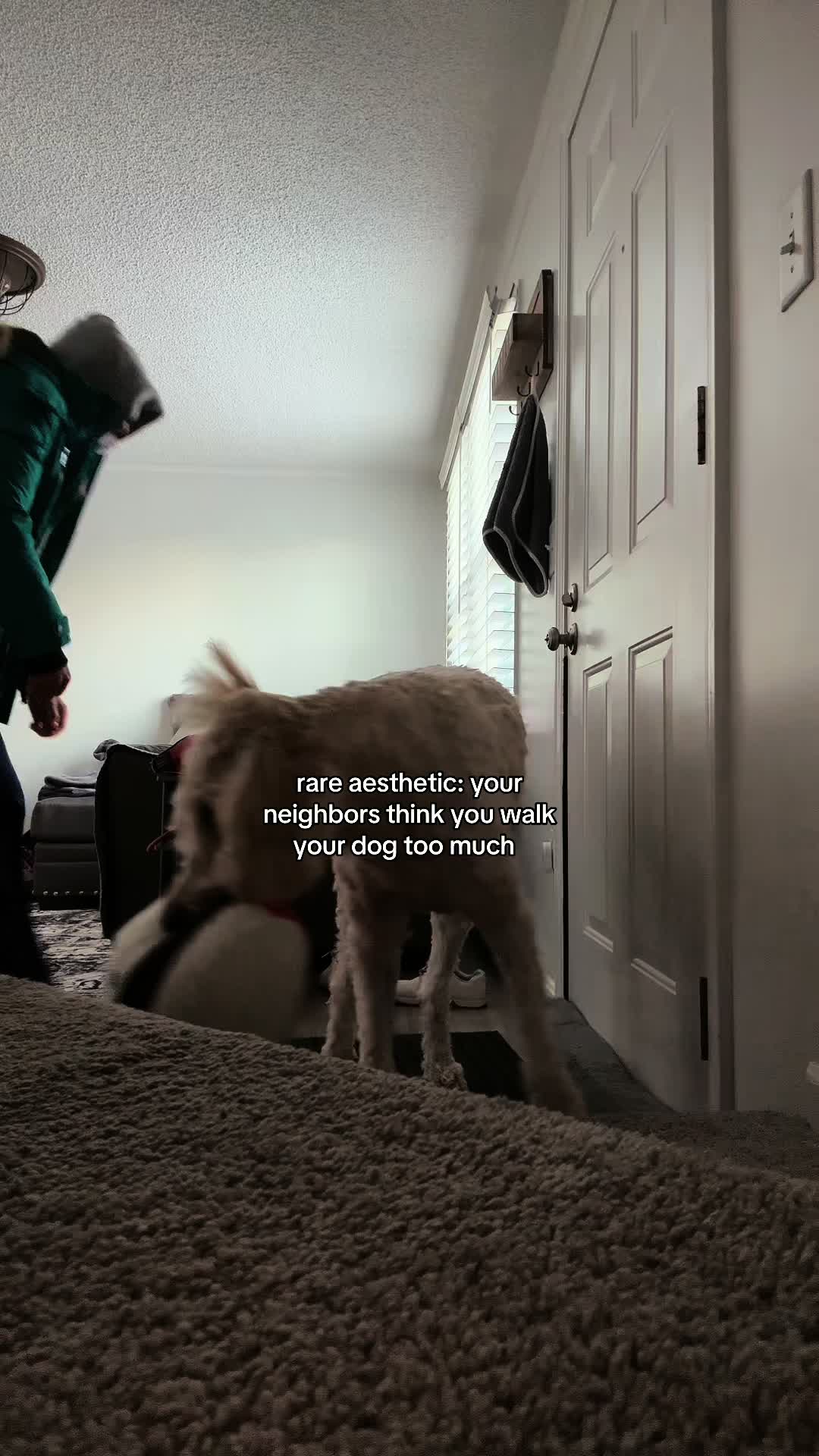 @Juuuuuelz