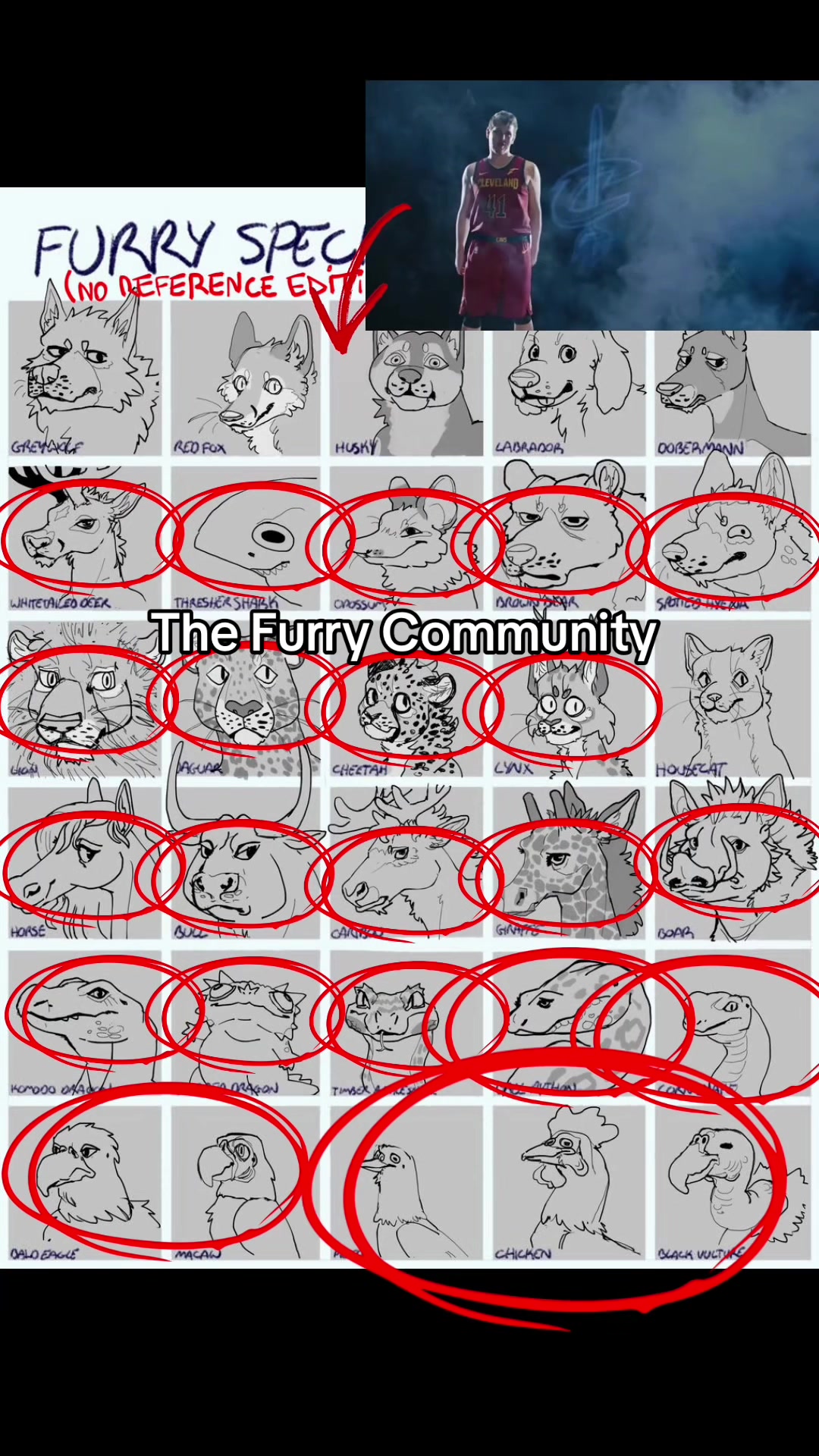 @princefrogman VA/VI