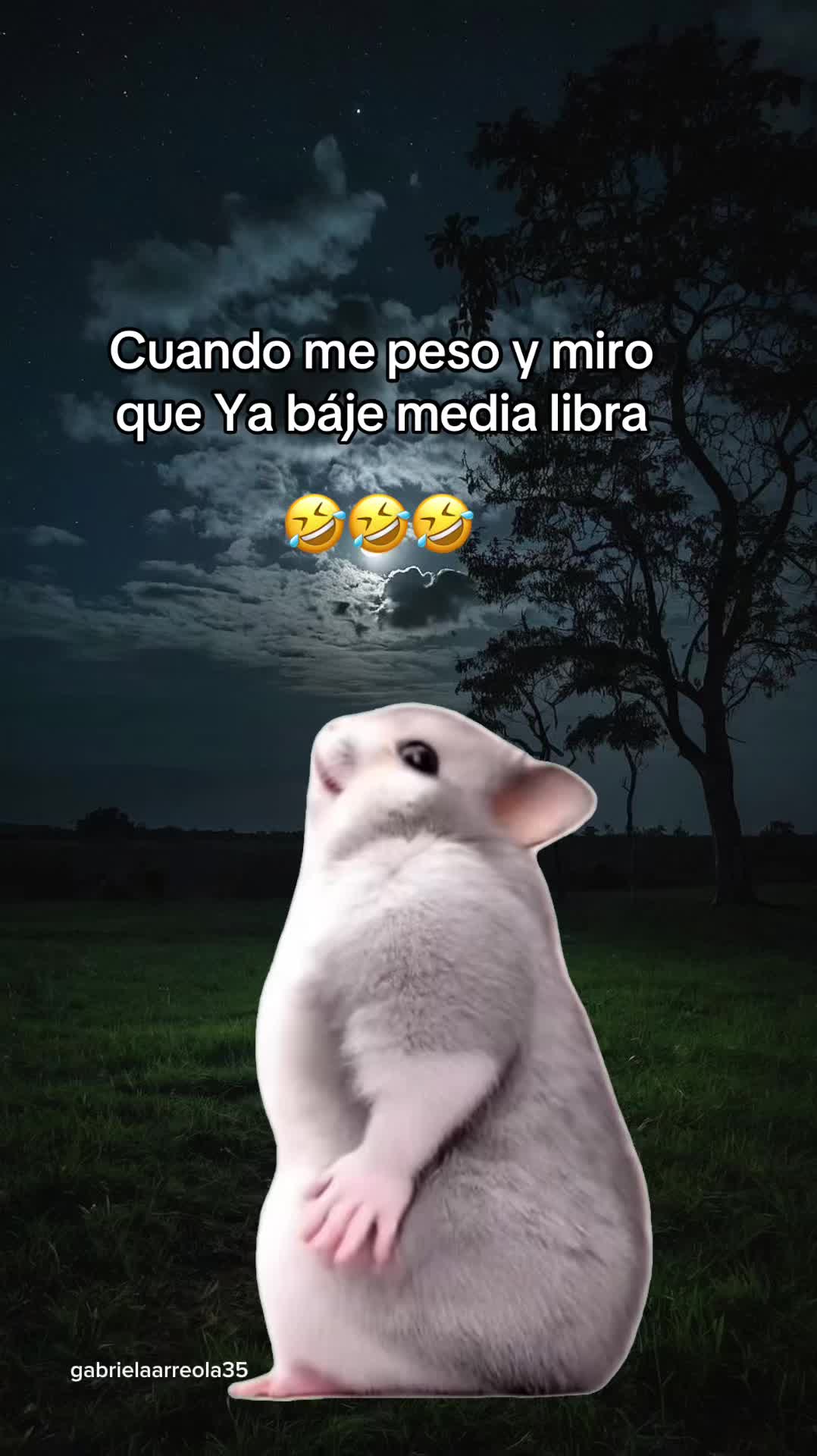 @gabrielaarreola35 🐚 💕