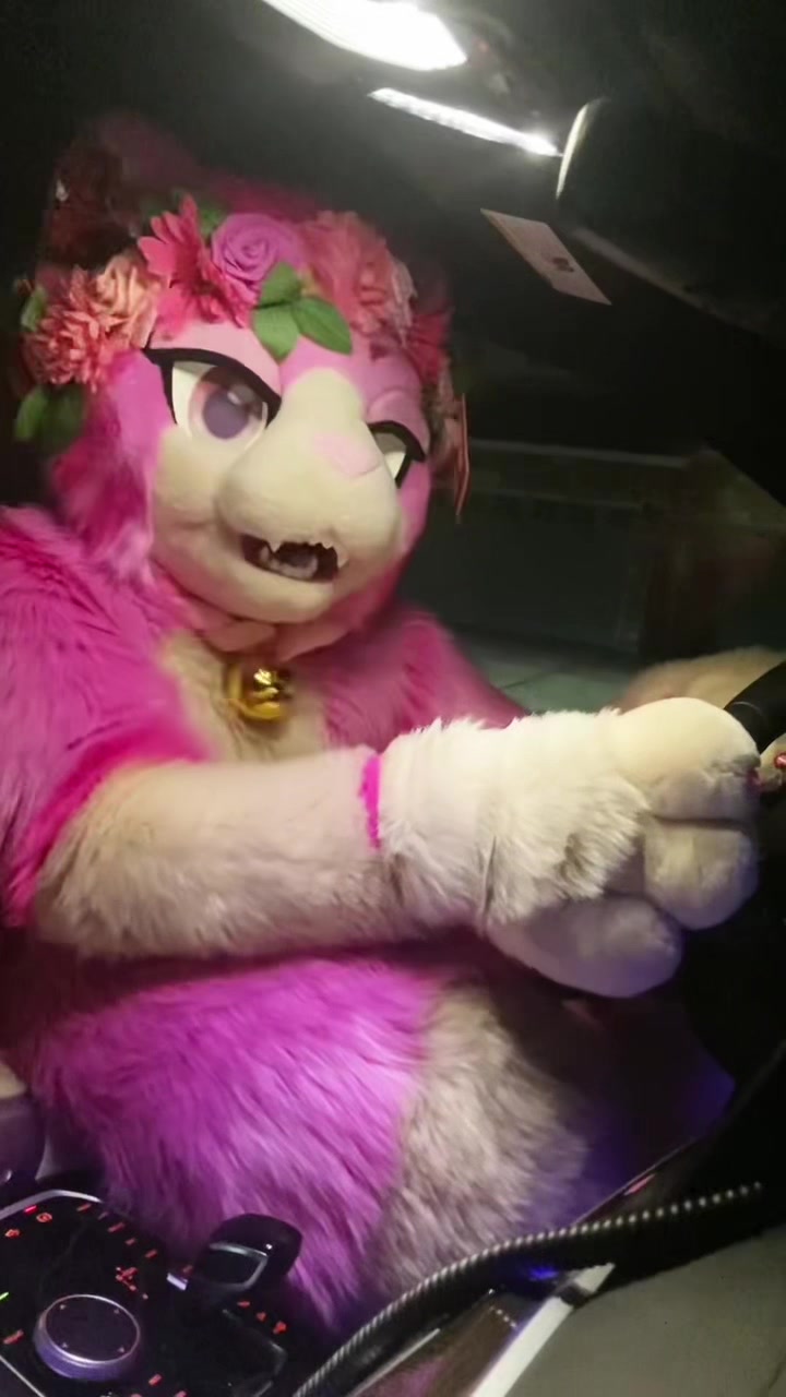 @AGayPinkCat