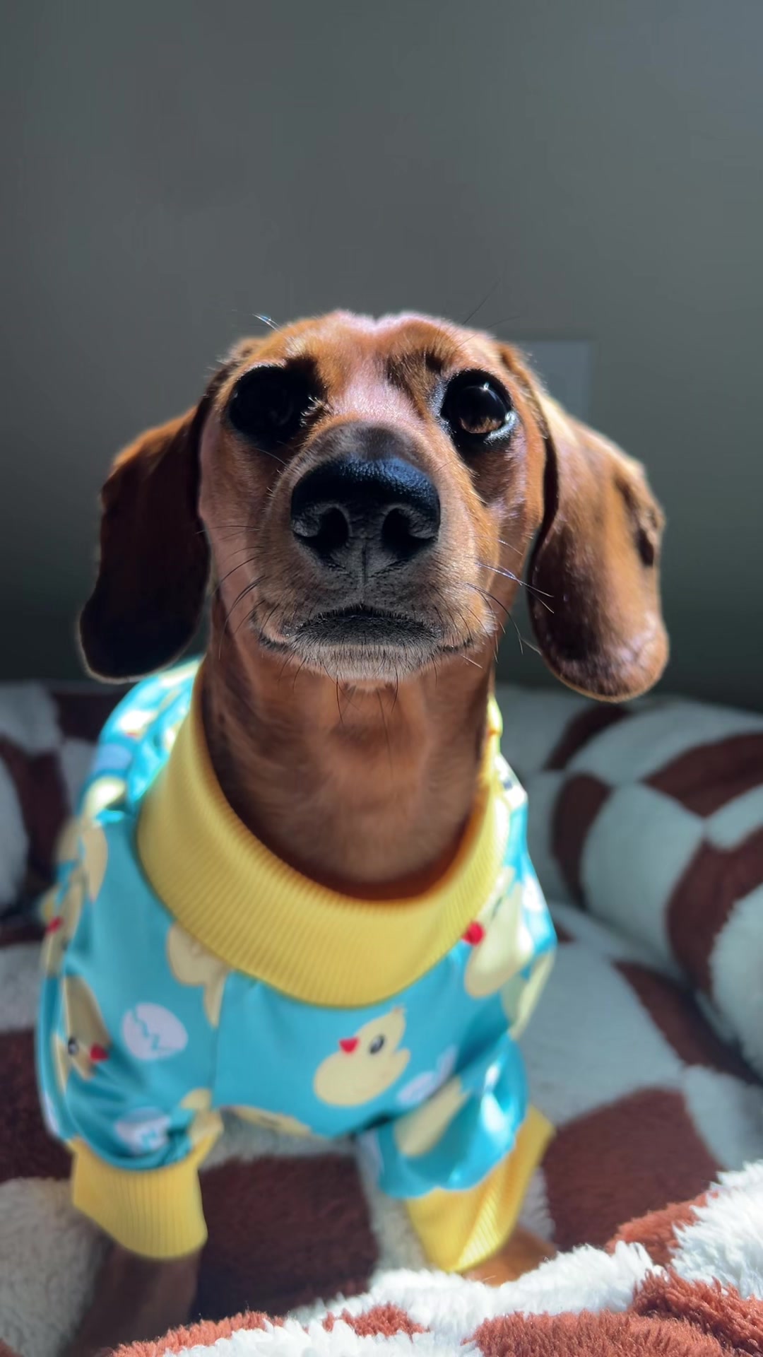 @Slinky Severus-Doo