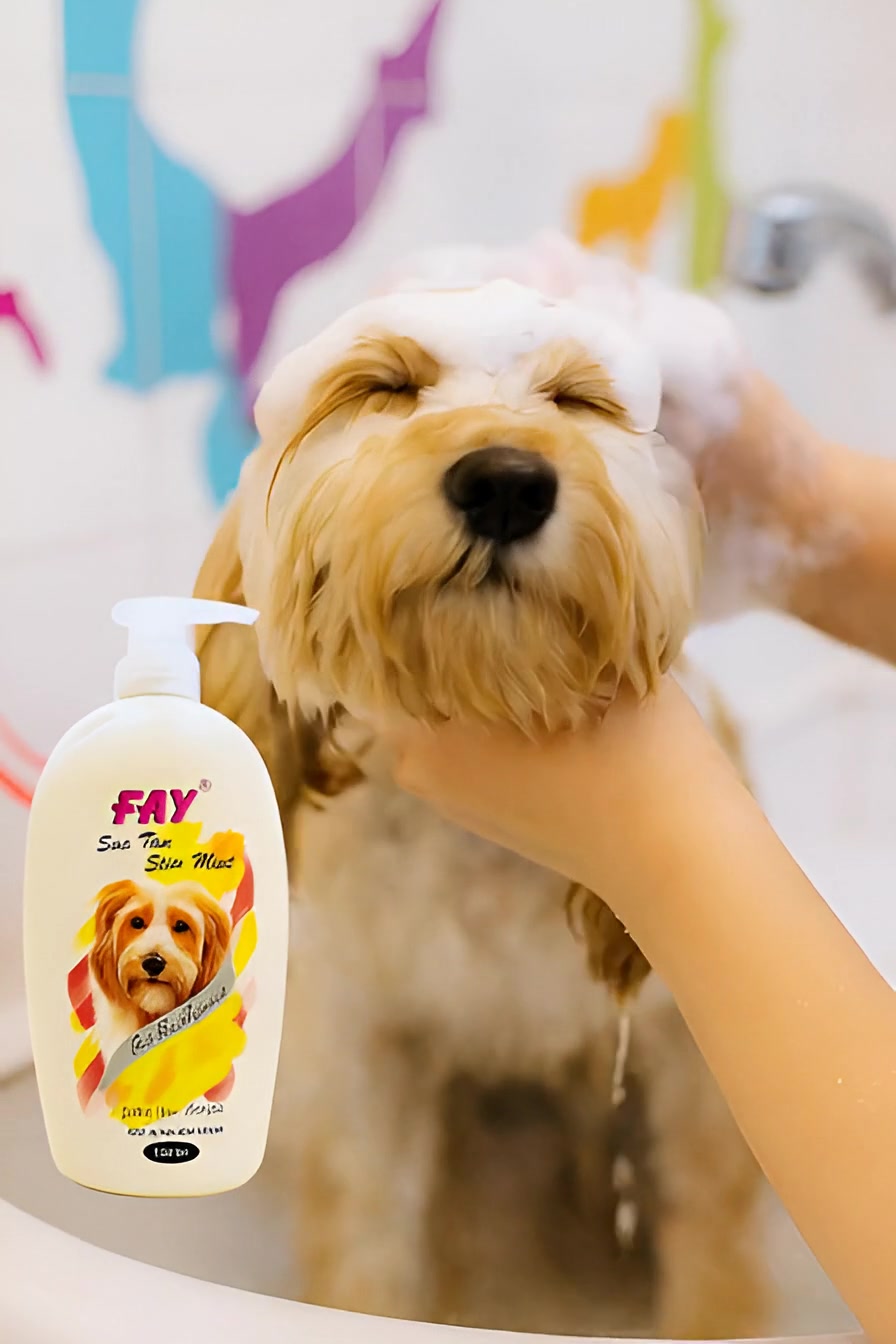 @PetCare