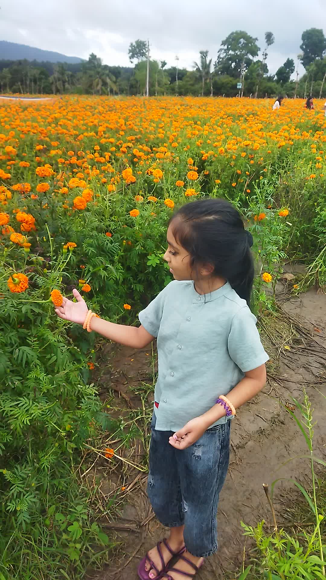 @എല്ലാവരോടും  സ്നേഹം മാത്രം