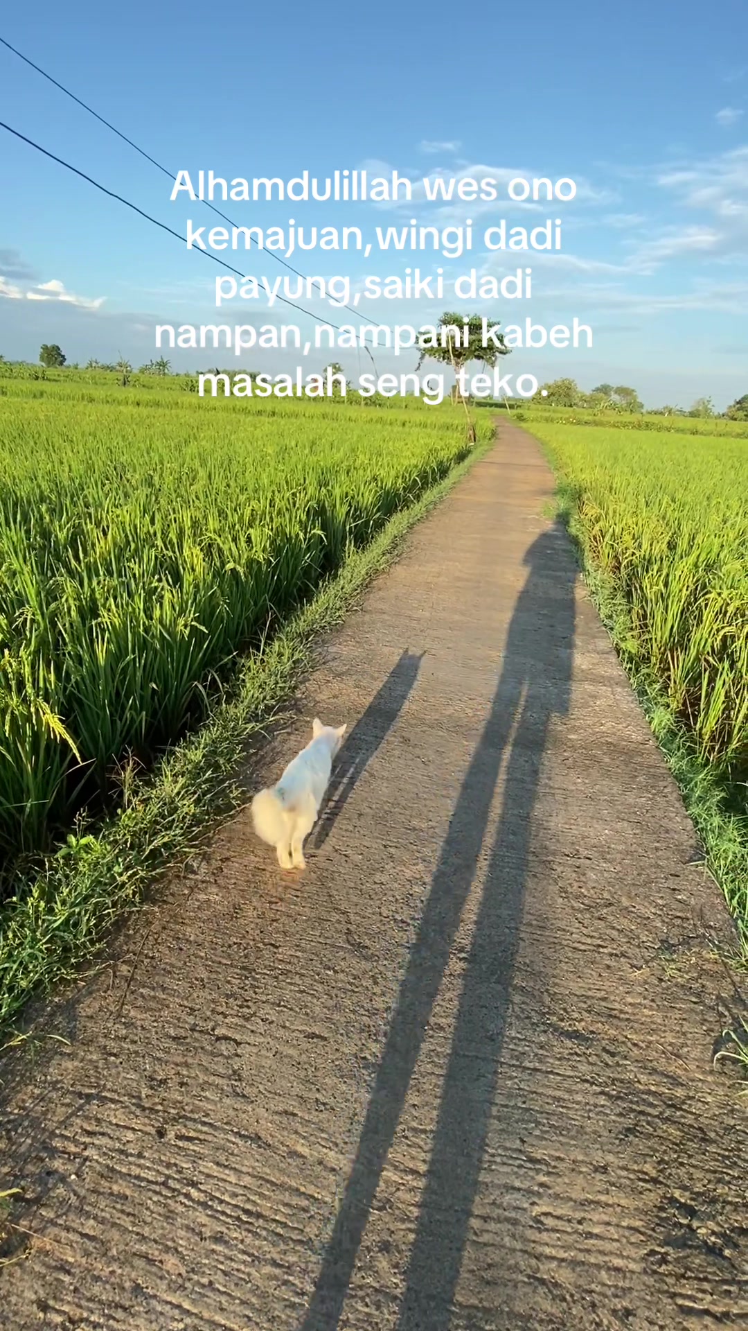 @nunung