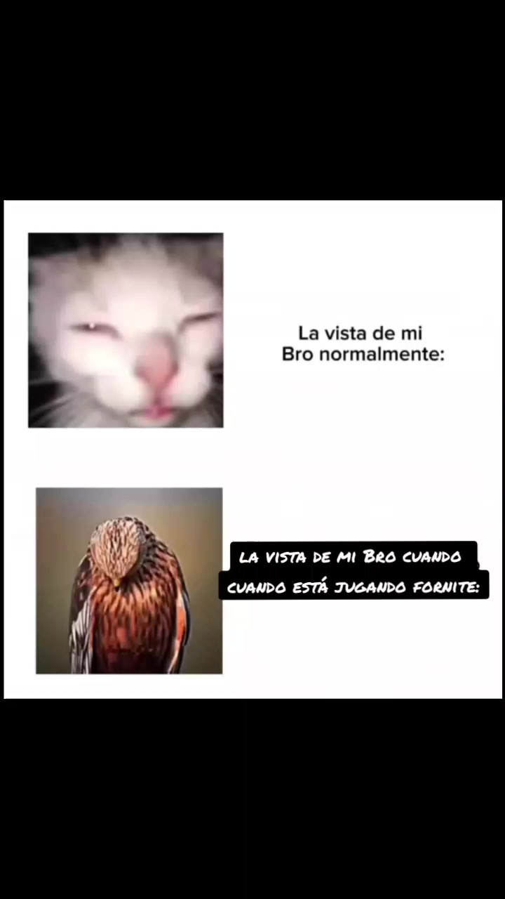@:v
