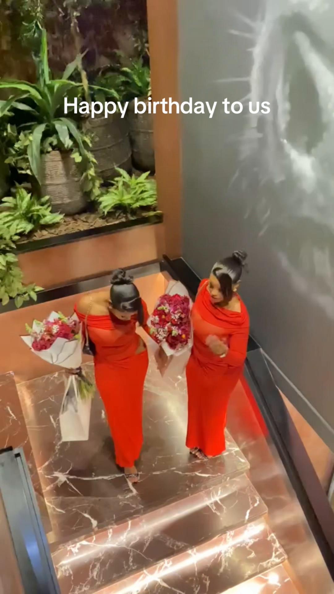 @mndebeletwins