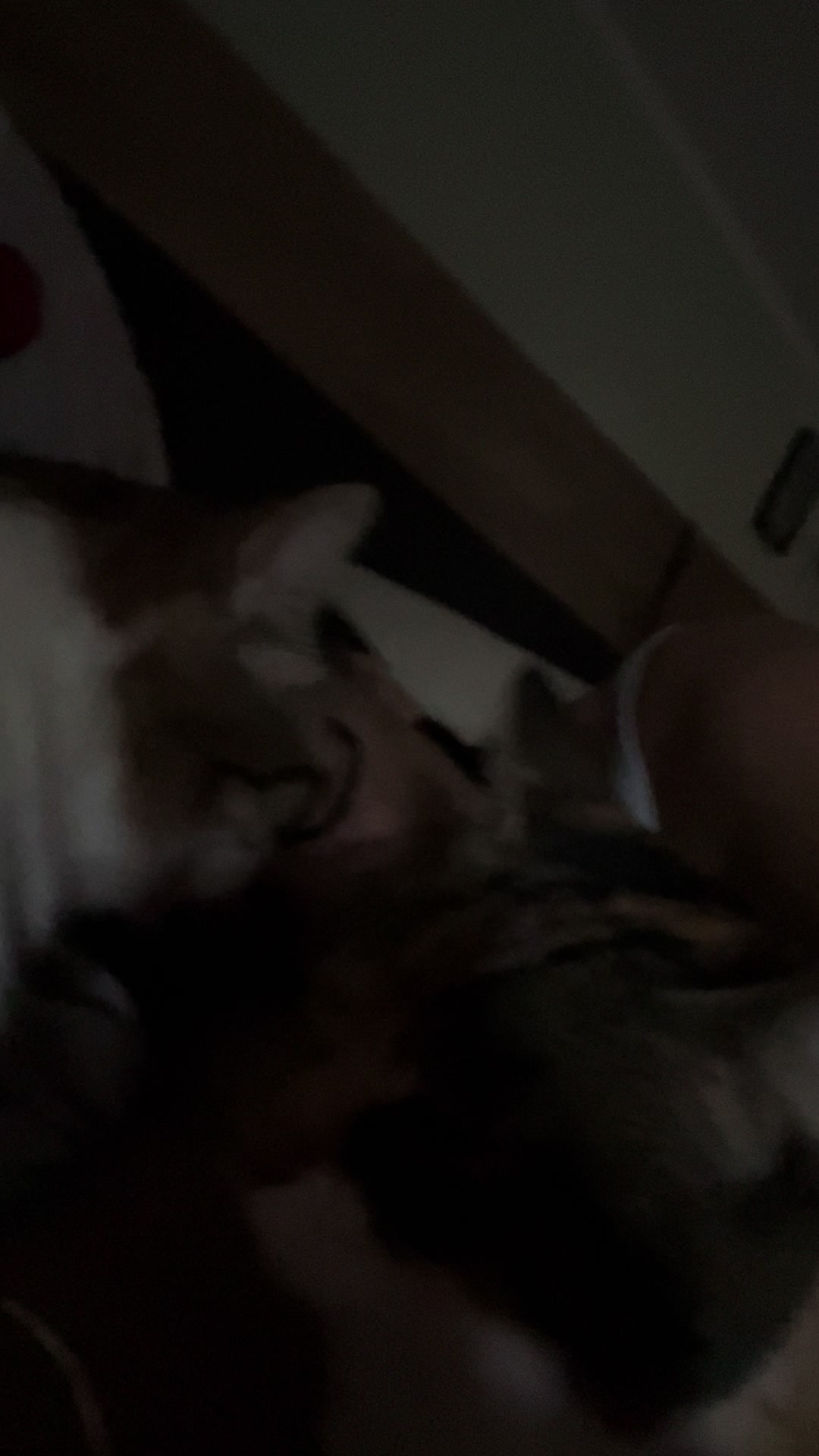 @Lucia and the cats &dog🌈😫
