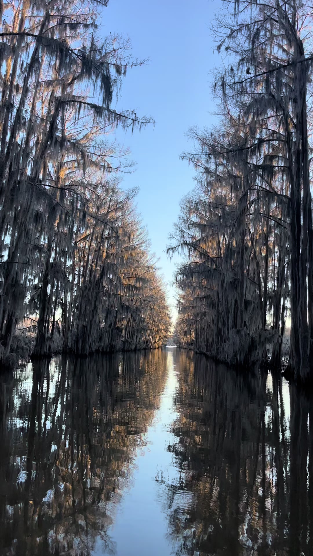 @Caddo Lake FirstCastCabin