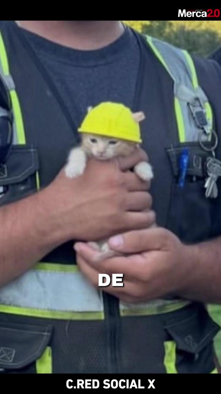 @Merca2.0