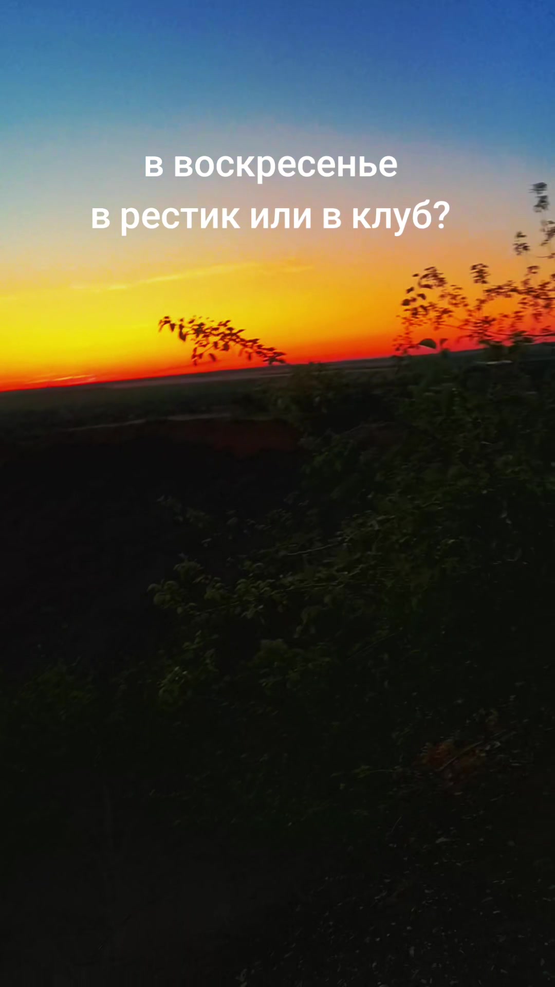 @Alex Pro