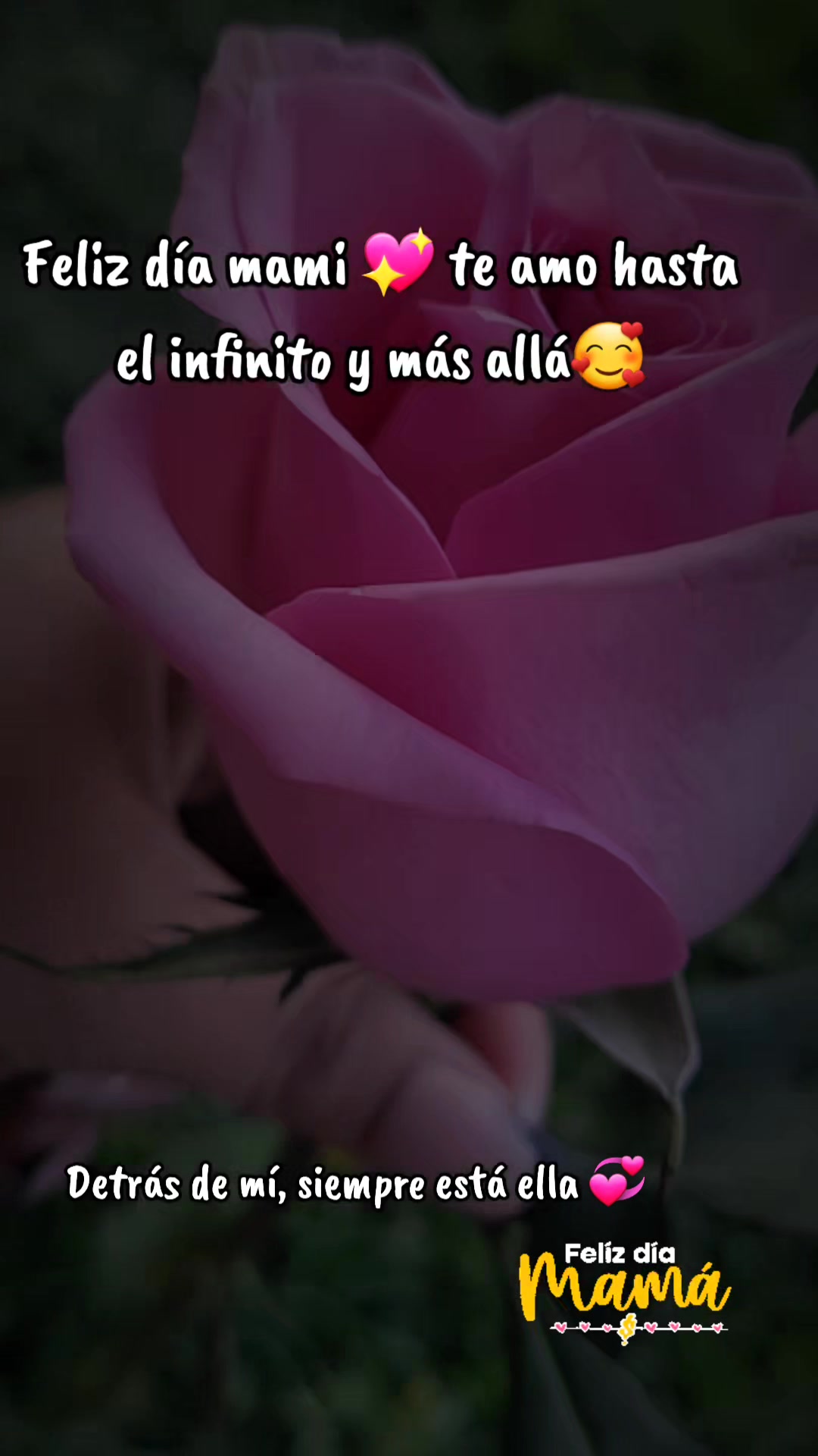 @IRIS KAREN