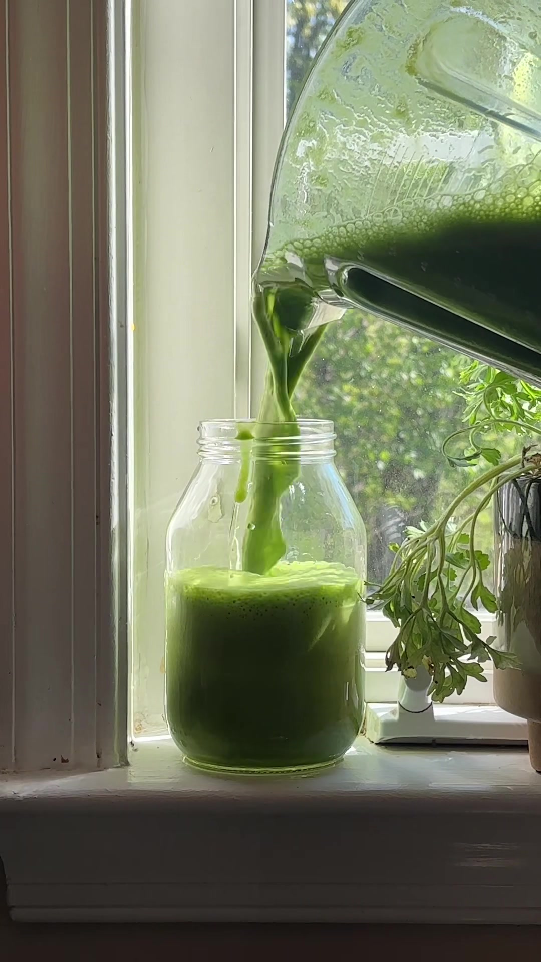 @plantbasedbaby
