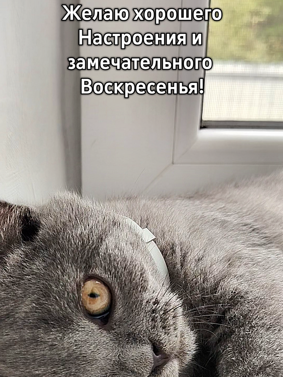 @😻Риччи&Джесси🐈Масик👼&Андрей