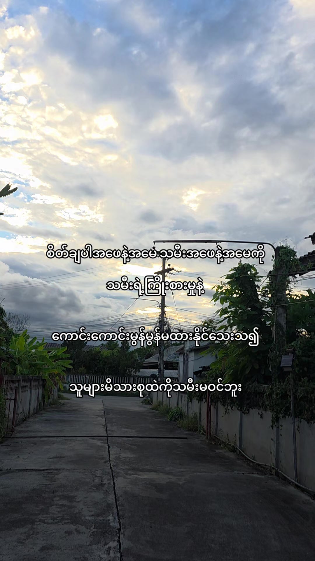 @🍃 𝙽𝚄𝙼 🐒