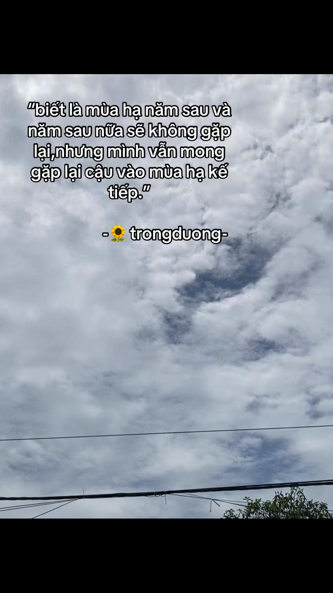 @🪷
