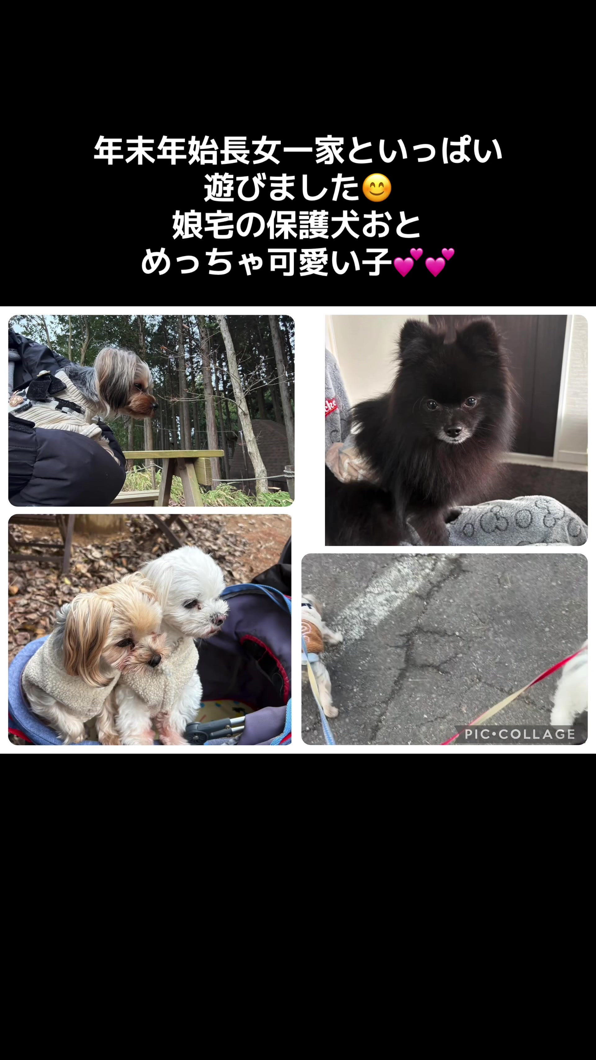 @ビビまるトンチャー