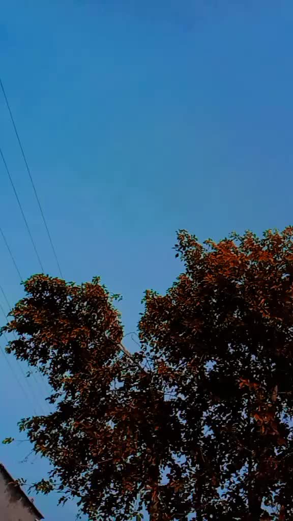 @rajveer 09