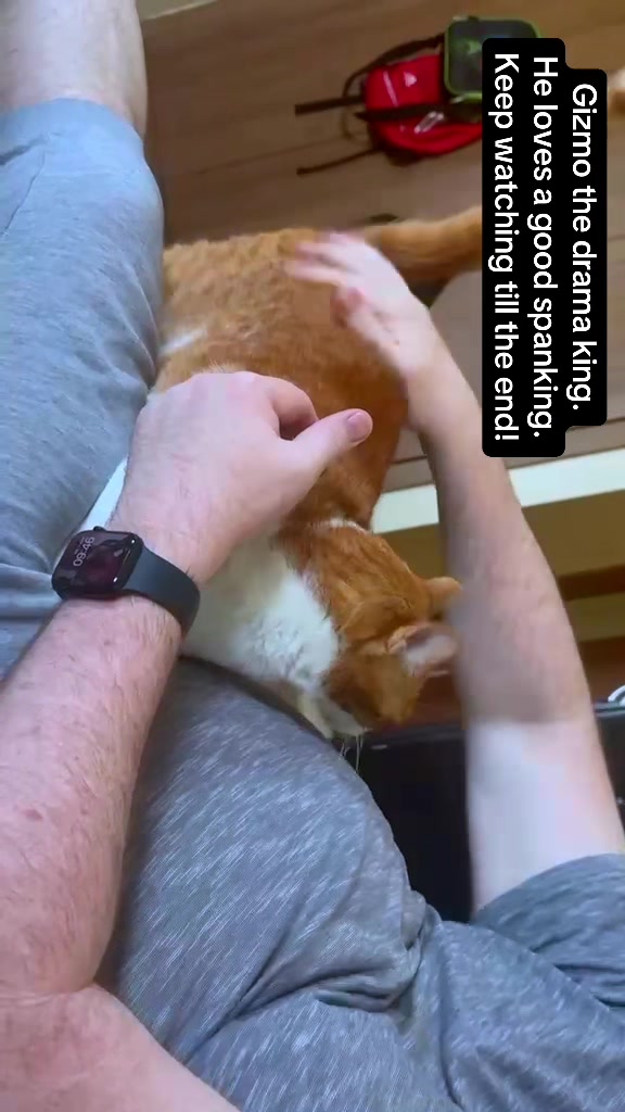 @Father5cats