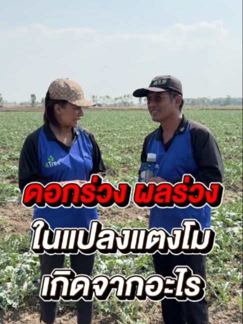 @4Tree A4S Thailand
