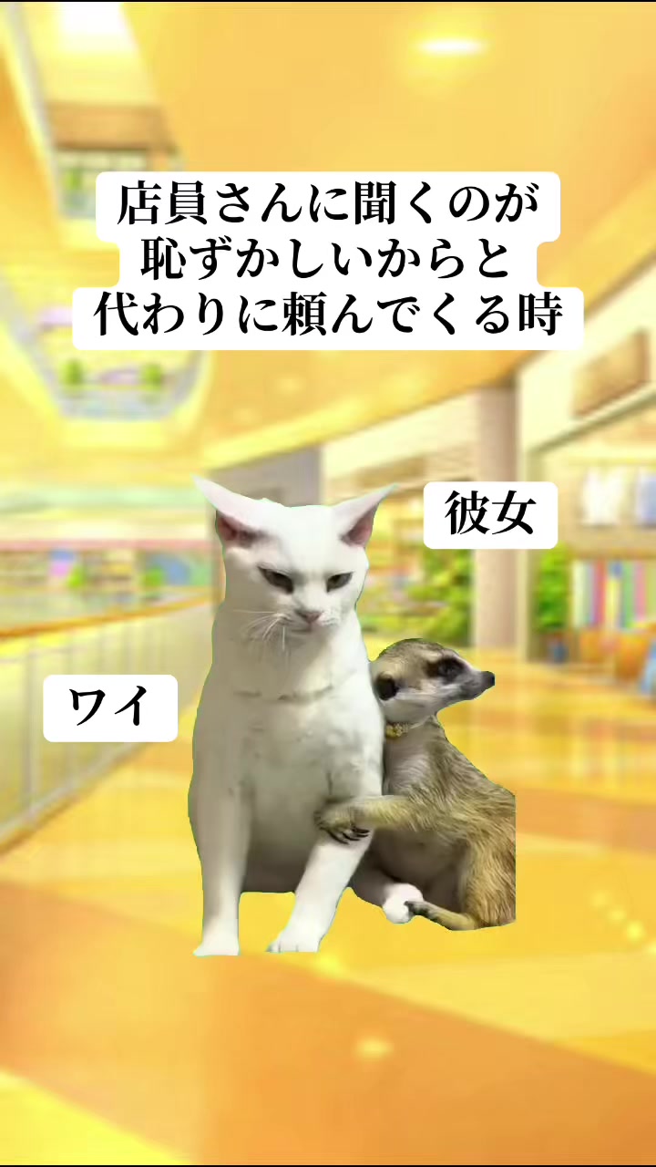 @面白ミーム