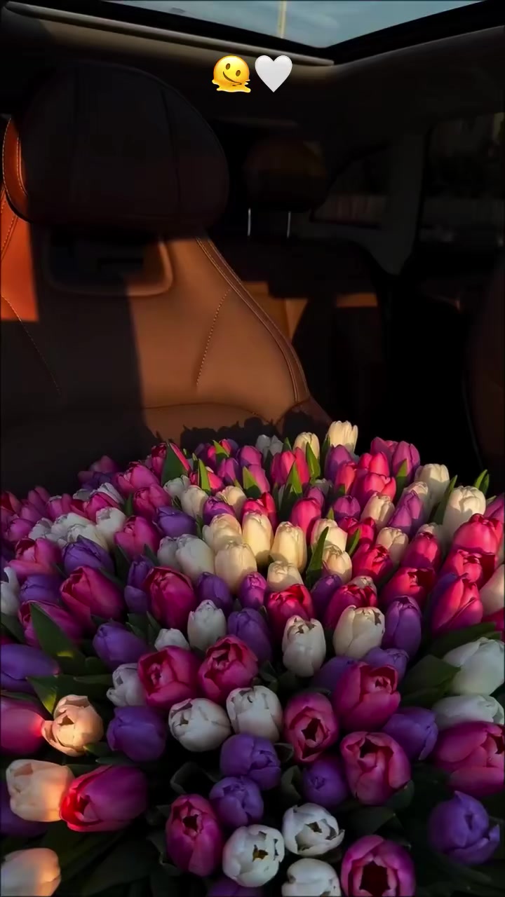@𝓡 '𝓘𝓷𝓬𝓲'𝓡