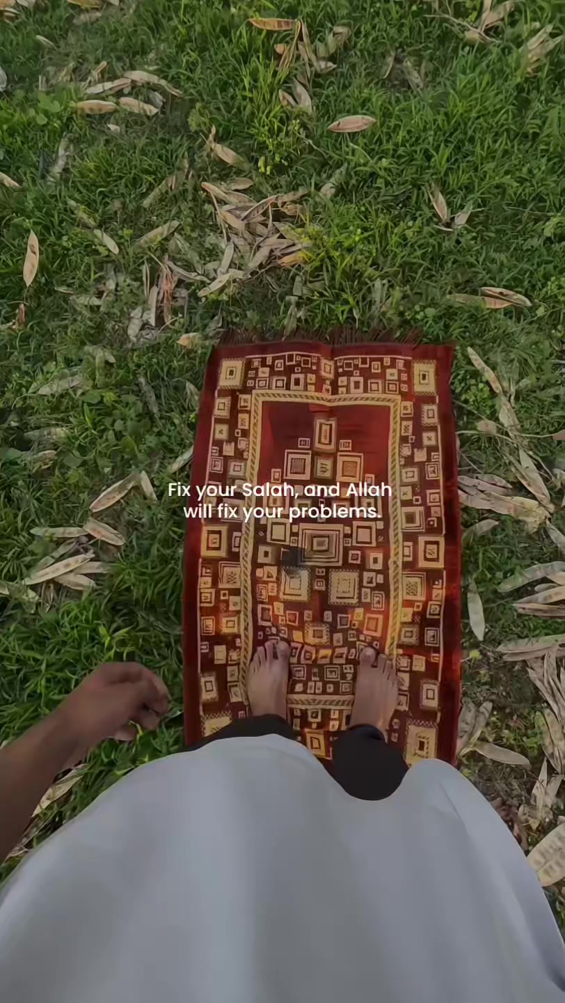 @Halal Mohsin