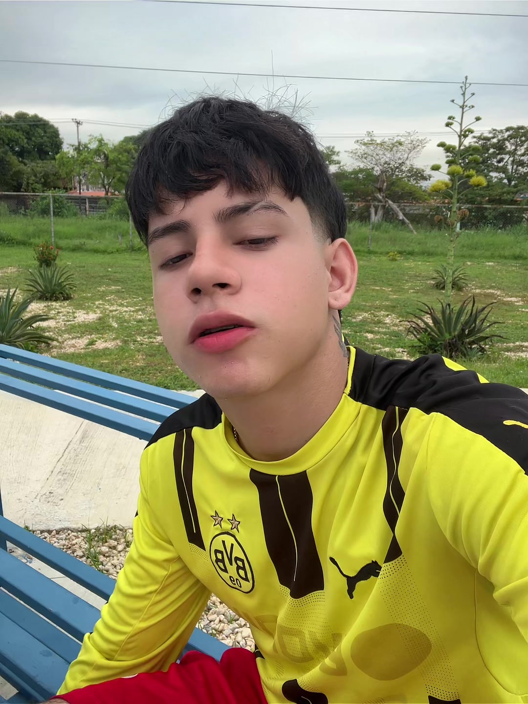 @yeisonmartinez✅