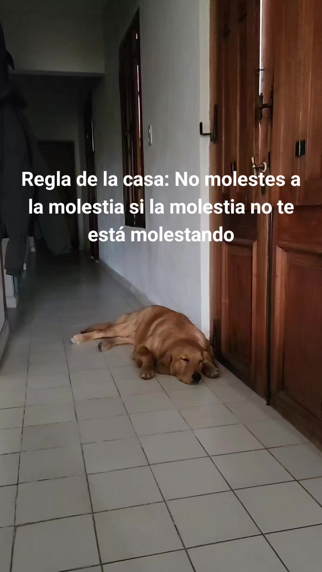 @Melina Guarascio