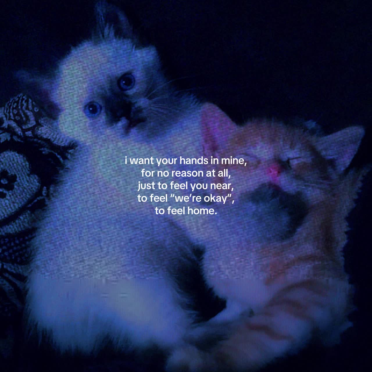 @Spotify: LXNYA