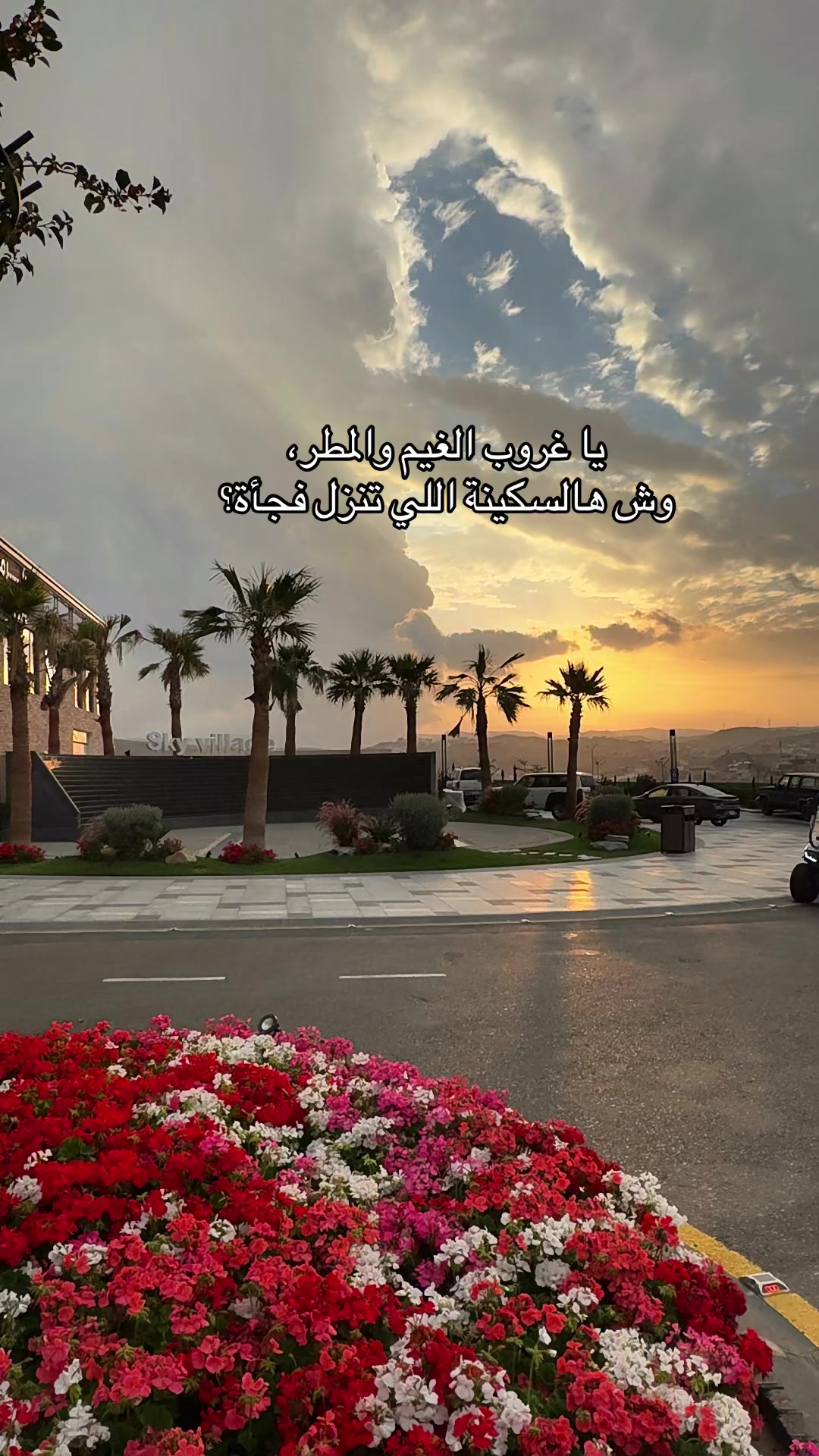 @Foz Abha 🕊️🤳🏻موثوق