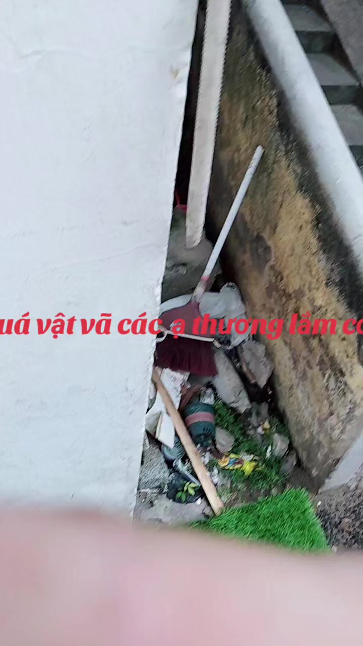 @trai qu&ecirc; đất tổ 19@.&hellip;.