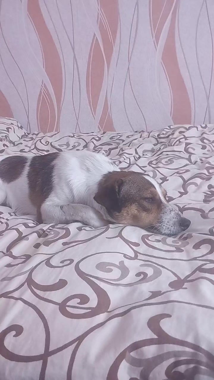 @𝘑𝘦𝘳𝘳𝘺🥏𝘢𝘪𝘳