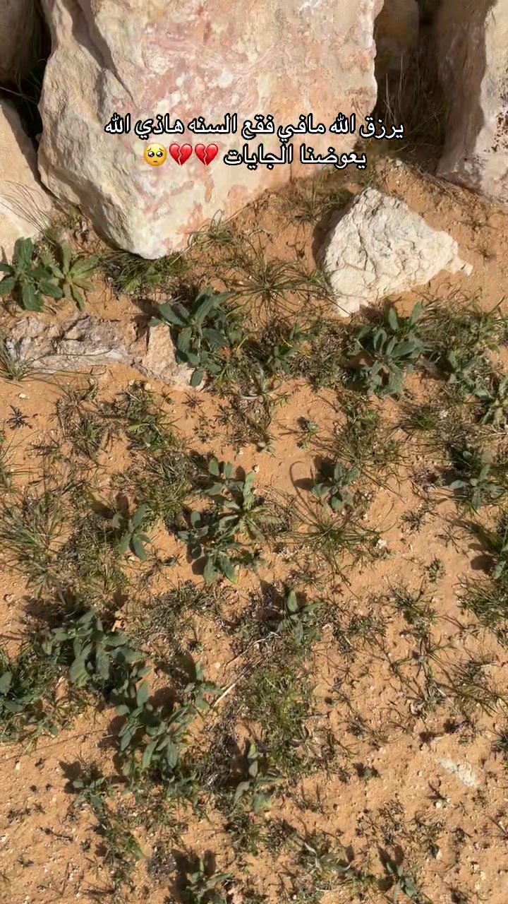 @نواف بن فرحان