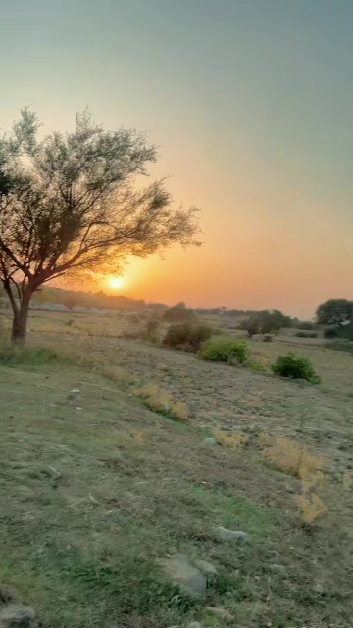 @اعوان کہتے ہیں 302